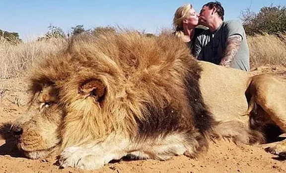 Animal Abuse, മൃഗങ്ങള്‍, Social Media, സോഷ്യല്‍മീഡിയ, lion, സിംഹ്, hunting, വേട്ട, protest പ്രതിഷേധം