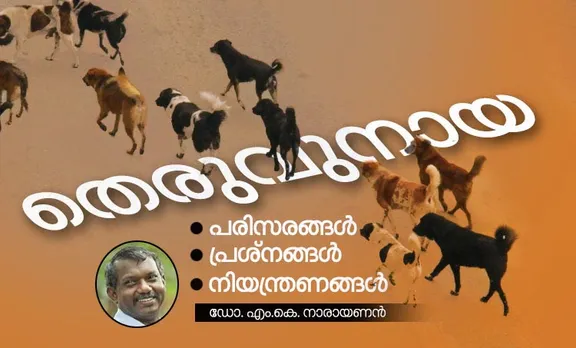 street dog, dr m k narayanan,iemalayalam