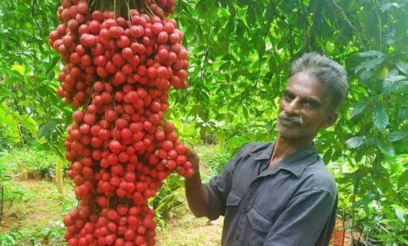 mootti pazham, idukki, ie malayalam