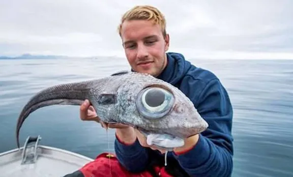 Norway, fish, ie malayalam