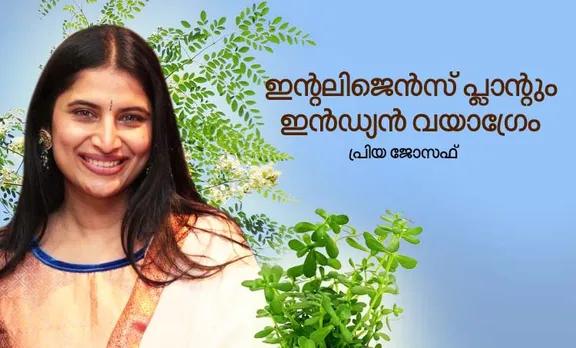 ഇന്റലിജെൻസ്‌ പ്ലാന്റും ഇൻഡ്യൻ വയാഗ്രേം