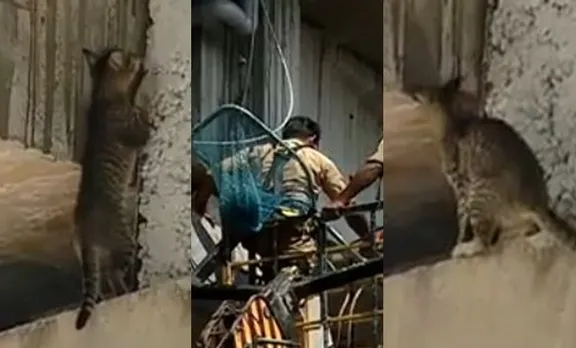 മെട്രോയിൽ കുടുങ്ങിയ പൂച്ചയെ രക്ഷിക്കാൻ ഫയർഫോഴ്‌സ്; കയ്യടി
