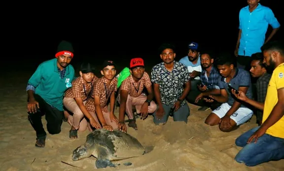 olive ridley tortoises, ഒലിവ് റിഡ്‌ലി കടലാമകള്‍, chavakkad beach, ചാവക്കാട് ബീച്ച്‌, protection of olive ridley, ഒലിവ് റിഡ്‌ലി ആമ സംരക്ഷണം, iemalayalam, ഐഇമലയാളം