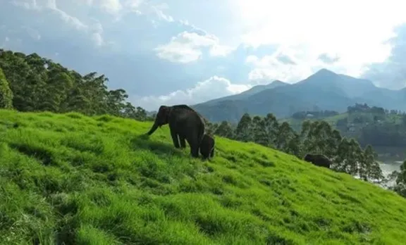 Kerala Tourism