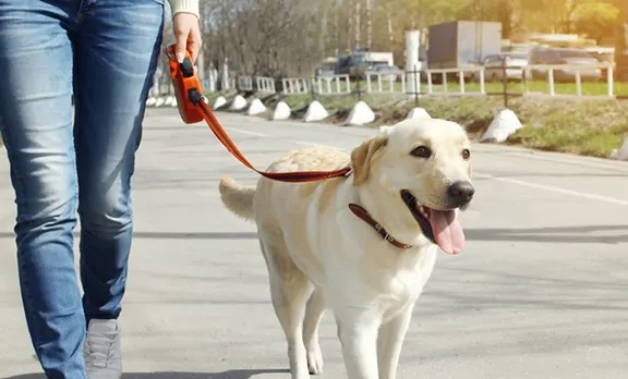 ലോക്ക് ഡൗണ്‍: വളര്‍ത്തുമൃഗങ്ങളെ പരിപാലിക്കുന്നവര്‍ക്കുള്ള നിര്‍ദേശങ്ങളുമായി മൃഗസംരക്ഷണ വകുപ്പ്