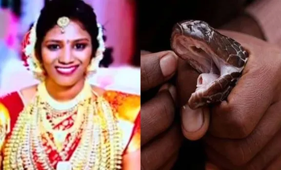 കടിച്ചത് മൂർഖൻ തന്നെ; ഉത്രയുടെ രാസപരിശോധന ഫലം പുറത്തുവന്നു