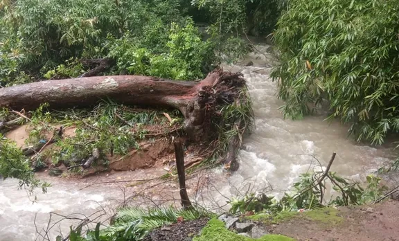 Kerala Weather: കേരളത്തിൽ വരും ദിവസങ്ങളിലും ശക്തമായ മഴ; ഏഴ് ജില്ലകളിൽ യെല്ലോ അലർട്ട്