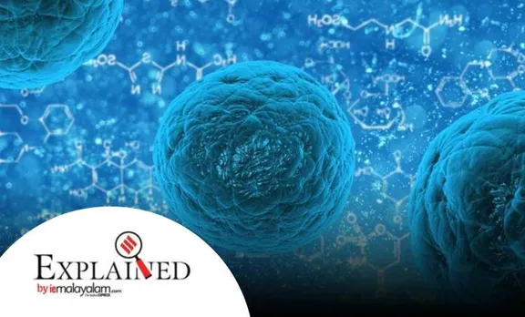 coronavirus, vaccine for coronavirus, coronavirus vaccine, covid-19 vaccine, coronavirus vaccine update, covid-19 vaccine news, coronavirus update, covid 19 vaccine update today, covid 19 vaccine today update, coronavirus vaccine update india, coronavirus vaccine update india news, coronavirus vaccine update india today, covid 19 india today, covid 19 vaccine india update, latest on coronavirus vaccine, ie Malayalam