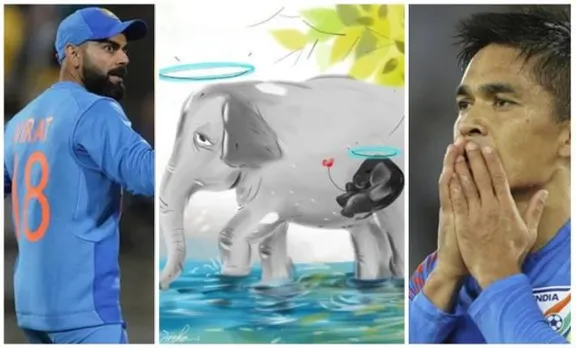 kerela elephant tragedy, kerela elephant, virat kohli, sunil chhetri, virat kohli elephant tragedy, elephant tragedy kerala, sports news,Elephant,Elephant Death, Elephant crackers, സുനിൽ ഛേത്രി, വിരാട് കോഹ്ലി, ആന, ആന കെണി, ആന ചരിഞ്ഞു, ie malayalam, ഐഇ മലയാളം