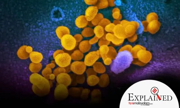 coronavirus spread, Covid-19, SARS-CoV-2, University College London, hospital bed, Indian express explained