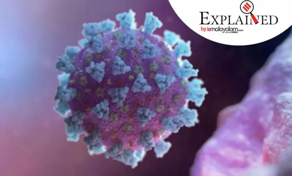 coronavirus, covid-19 winters, coronavirus precautions, coronavirus symptoms, coronavirus symptoms news, covid-19 cough droplets, cough droplets winters covid-19 study