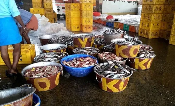 Kollam district, കൊല്ലം ജില്ല, fish market, മത്സ്യ ചന്ത, covid 19, കോവിഡ് 19, iemalayalam, ഐഇ മലയാളം