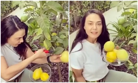 Preity Zinta, Preity Zinta family, Preity Zinta husband, Preity Zinta videos, പ്രീതി സിന്റ