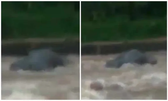 Kerala rain, Kerala weather, കാലാവസ്ഥ, കേരളത്തിലെ കാലാവസ്ഥ, idukki, ഇടുക്കി, Idukki rain, ഇടുക്കി മഴ, elephant, ആന, elephant in periyar, ആന പെരിയാർ, ie malayalam, ഐഇ മലയാളം,