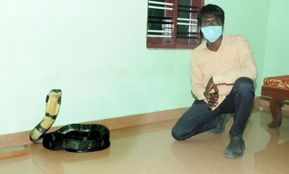 Vava Suresh, വാവ സുരേഷ്, Snakes, പാമ്പുകൾ, പാമ്പ്, kingh kobra, രാജവെമ്പാല, vava suresh facebook post, വാവ സുരേഷിന്റെ ഫെയ്സ്ബുക്ക് പോസ്റ്റ്, iemalayalam, ഐഇ മലയാളം