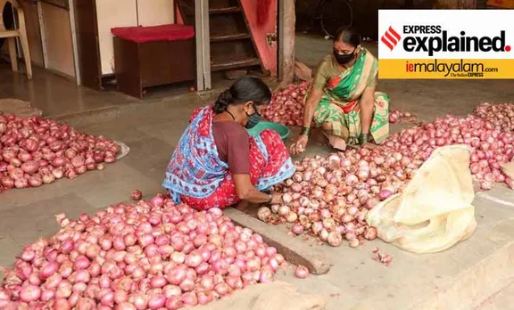 Onion prices, ഉള്ളിവില, സവാള വില, ചെറിയ ഉള്ളി വില, onions, ഉള്ളി, സവാള, ചെറിയ ഉള്ളി, onion prices india, ഉള്ളിവില ഇന്ത്യയിൽ, സവാള വില ഇന്ത്യയിൽ, onion prices kerala, ഉള്ളിവില കേരളത്തിൽ, സവാള വില കേരളത്തിൽ, onion prices nafed, ഉള്ളിവില നാഫെഡ്, സവാള വില നാഫെഡ്, onion prices horticorp, ഉള്ളിവില ഹോർട്ടികോർപ്, സവാള വില ഹോർട്ടികോർപ്, onion import, സവാള ഇറക്കുമതി, ഉള്ളി ഇറക്കുമതി, onion exprot ban, സവാള കയറ്റുമതി നിരോധനം, ഉള്ളി കയറ്റുമതി നിരോധനം, onion stock limits, സവാള സ്‌റ്റോക്ക് പരിധി, ഉള്ളി സ്‌റ്റോക്ക് പരിധിvegetable prices, പച്ചക്കറി വില, indian expres malayalam, ഇന്ത്യൻ എക്‌സ്‌പ്രസ് മലയാളം, ie malayalam, ഐഇ മലയാളം