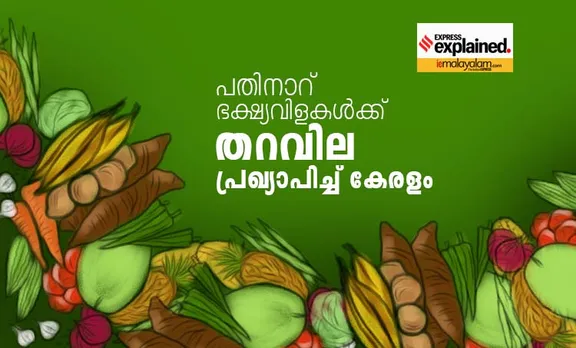floor prices for vegetables, പച്ചക്കറികൾക്കു തറവില, floor prices for 16 vegetables kerala, 16 പച്ചക്കറികൾക്കു തറവിലയുമായി കേരളം, floor prices for vegetable farmers, കർഷകർക്കു പച്ചക്കറികൾക്കു തറവില, kerala vegetable floor prices, കേരളത്തിൽ പച്ചക്കറികൾക്കു തറവില, kerala vegetable prices, കേരളത്തിലെ പച്ചക്കറി വില, agriculture, farm bills, കാർഷിക ബിൽ, indian express malayalam, ഇന്ത്യൻ എക്‌സ്‌പ്രസ് മലയാളം, ie malayalam, ഐഇ മലയാളം