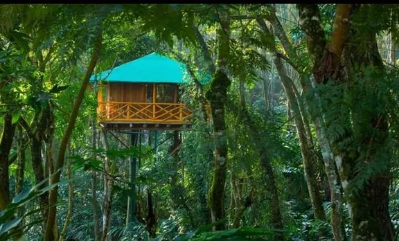 Kerala tree house, munnar tree house, thekkady tree house, wayanad tree house, vythiri tree house, konni tree house