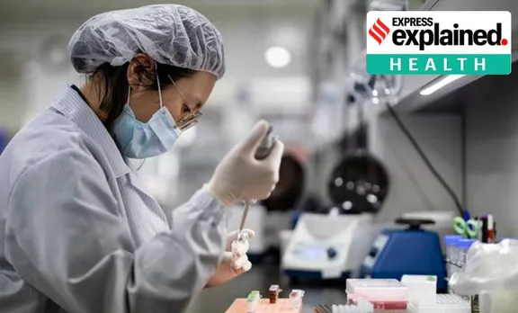Coronavirus, Coronavirus research, Coronavirus cell research, Express Explained, ie malayalam