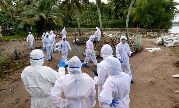 bird flu,bird flu situation,central government team,central government team in kerala,കേന്ദ്രസംഘമെത്തും,പക്ഷിപ്പനി