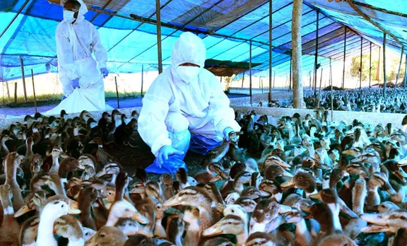 Bird flu, പക്ഷിപ്പനി, Bird flu confirms, minister k raju, മന്ത്രി കെ. രാജു, flu, പനി, kottayam, കോട്ടയം, alappuzha, ആലപ്പുഴ, iemalayalam, ഐഇ മലയാളം