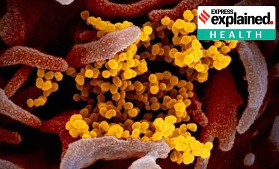 airborne Covid spread, airborne transmission of Covid, coronavirus update, Indian express