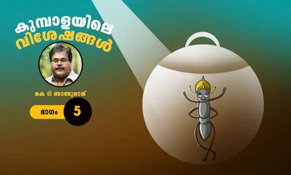 kt baburaj, childrens novel, iemalayalam