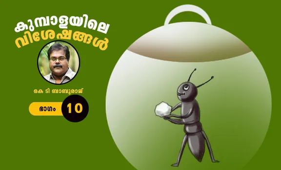 kt baburaj, childrens novel, iemalayalam