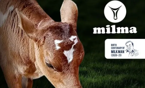 നെറ്റിയിൽ 'മിൽമ'യുടെ ചിഹ്നം; പശുക്കുട്ടിയുടെ പേരും 'മിൽമ'