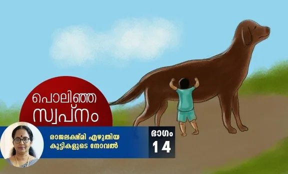 പൊലിഞ്ഞ സ്വപ്‌നം: കുട്ടികളുടെ നോവല്‍-ഭാഗം 14