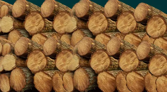 muttil tree felling, illegal tree felling kerala, muttil illegal tree felling case, illegal tree felling kerala national green tribunal, national green tribunal seeks explanation from kerala authorities, kerala illegal tree felling suo motu case national green tribunal, indian express malayalam, ie malayalam