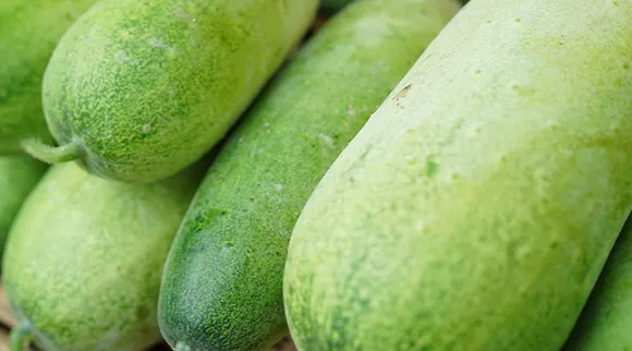 ash gourd, health, ie malayalam
