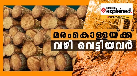 illegal tree felling case, IE Malayalam
