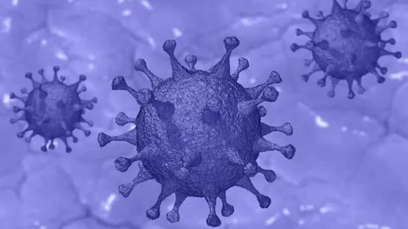what is kappa variant of covid 19, what is kappa variant, kappa variant, covid kappa variant, kappa variant impact, kappa variant in india, india kappa variant cases, indian express, കാപ്പ വകഭേദം, കപ്പ വകഭേദം, Malayalam News, Latest Malayalam News, ie malayalam