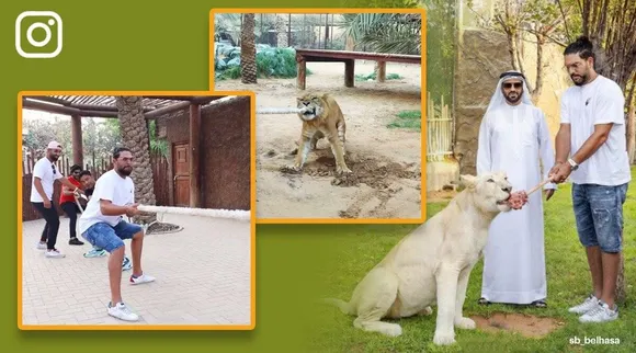 ലൈഗറുമായി വടംവലി, ജിറാഫിനും കരടിക്കും തീറ്റ കൊടുക്കൽ; യുവരാജിന്റെ ദുബായിലെ വിനോദങ്ങൾ