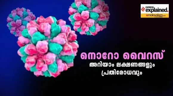 norovirus, norovirus wayanad, norovirus Symptoms, നോറോ വൈറസ് രോഗലക്ഷണങ്ങള്‍, norovirus treatment, norovirus prevention, norovirus reasons, Health Tips, IE Malayalam, indian express malayalam