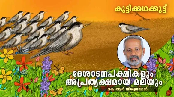 ദേശാടനപക്ഷികളും അപ്രത്യക്ഷമായ മലയും