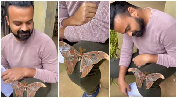 Kunchacko Boban, കുഞ്ചാക്കോ ബോബൻ, Bheemante Vazhi, ഭീമന്റെ വഴി, നാഗശലഭം, IE Malayalam