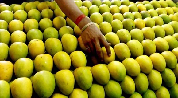 mangoes, health, ie malayalam
