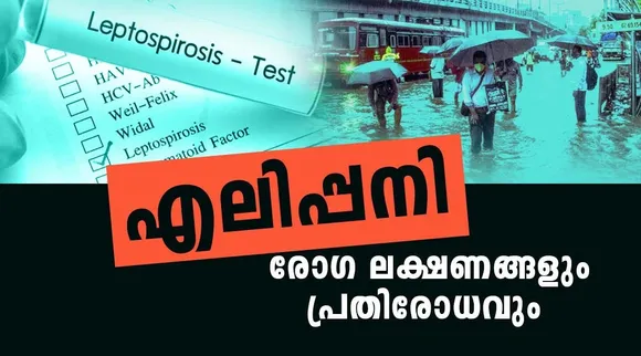 എലിപ്പനിക്കെതിരെ ജാഗ്രത പാലിക്കാം; പ്രതിരോധ മാര്‍ഗങ്ങളും മുൻകരുതൽ നടപടികളും അറിയാം