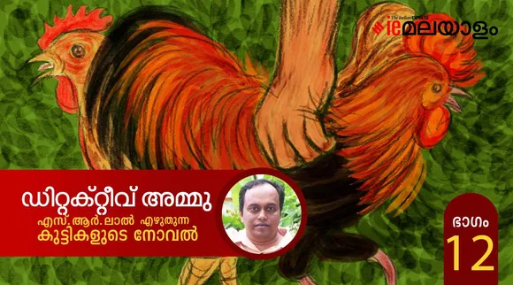 ഡിറ്റക്റ്റീവ് അമ്മു-കുട്ടികളുടെ നോവല്‍ പന്ത്രണ്ടാം ഭാഗം