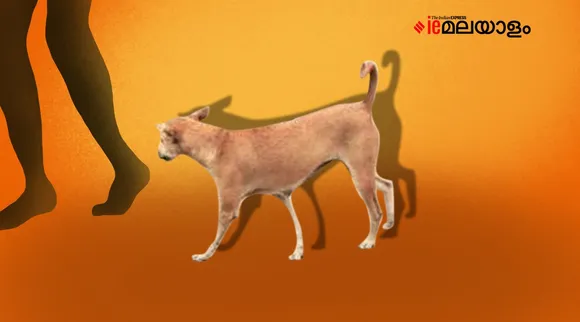 Abhirami, Rabies death, Anti rabies vaccination,