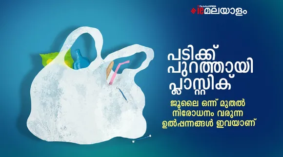 Plastic ban, Pollution, Central government