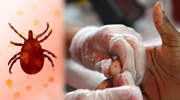 ruvananthapuram, scrub typhus death