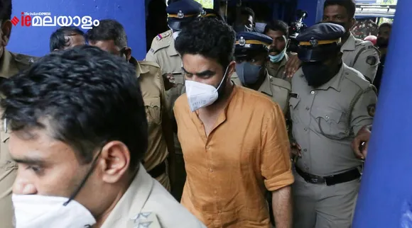 Vijay Babu, Rape Case