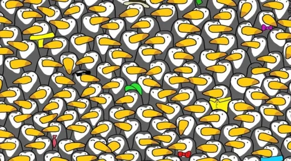 Optical Illusion, Viral picture, Penguin among Toucans