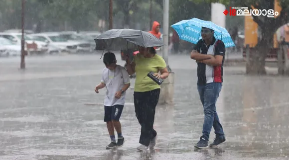 Rain, Weather