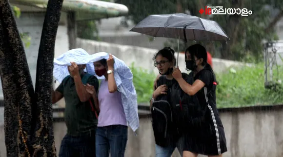 Rain , Monsoon, Umbrella, മഴ , Iemalayalam