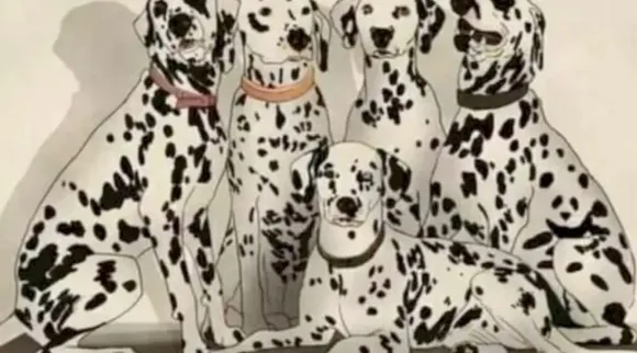 Optical illusion, Spot the Panda, Optical illusion viral picture