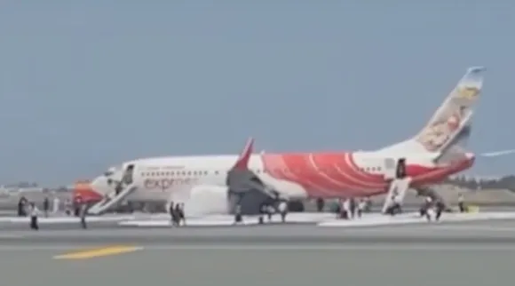 Snake found in Air India Express plane, Air India express, Air India flight snake, Snake found in Air India Express plane Dubai